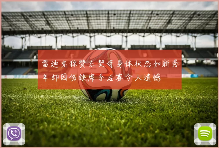 雷迪克称赞东契奇身体状态如新秀年却因伤缺席季后赛令人遗憾